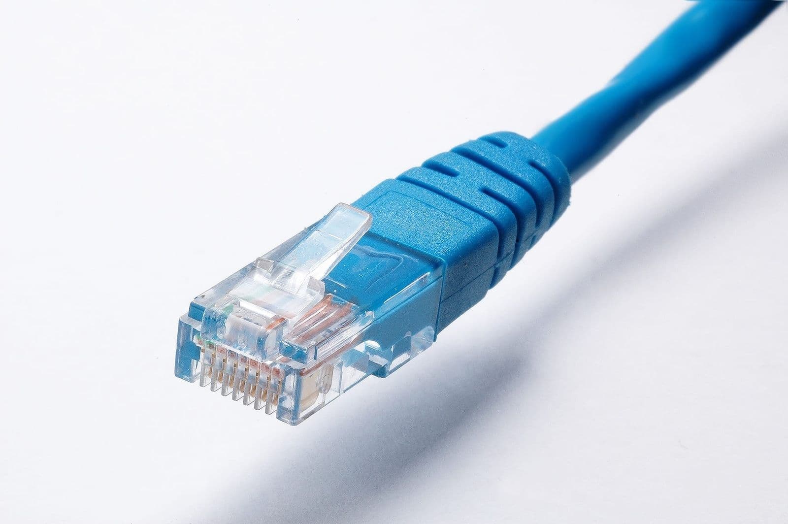 A blue ethernet cable with an RJ-45 plug